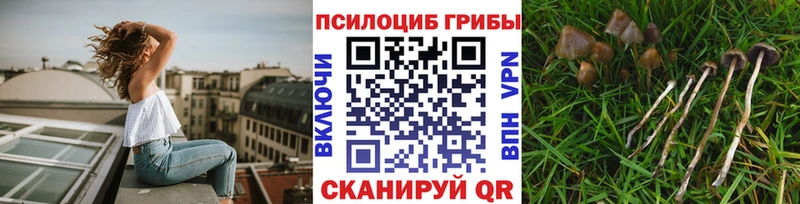 Галлюциногенные грибы мухоморы Демидов